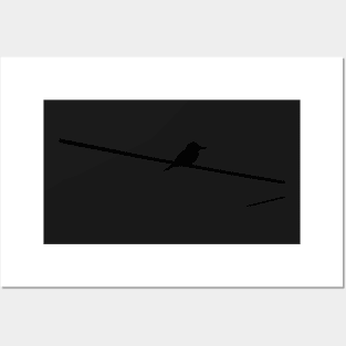 Black bird on a wire Posters and Art